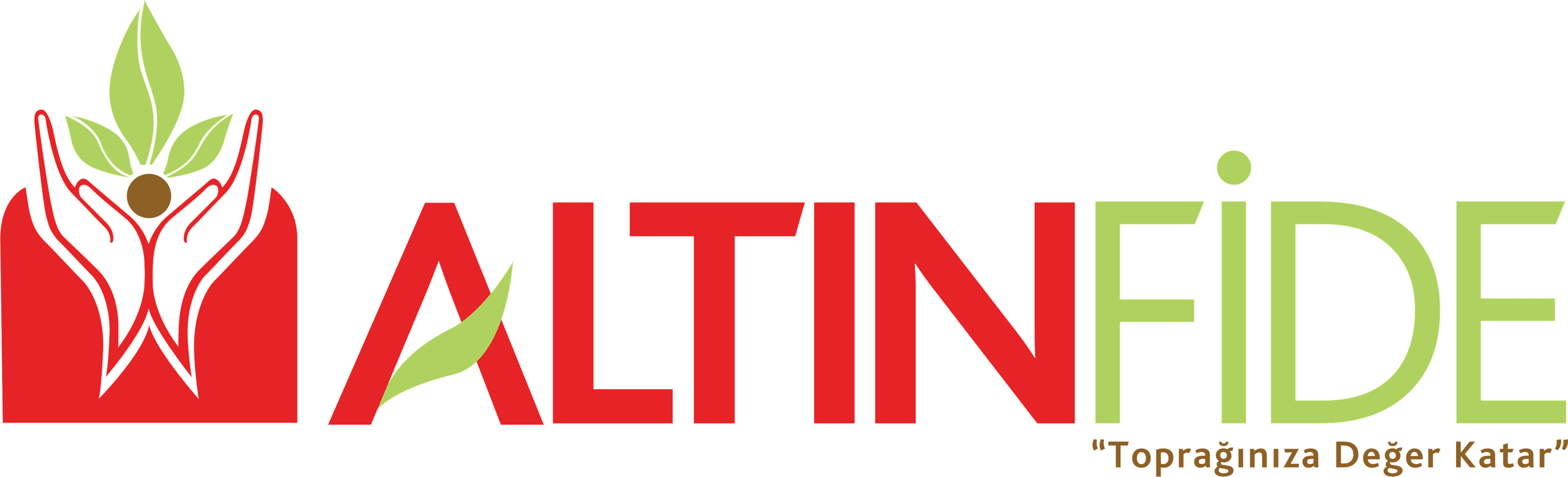 Altın Fide